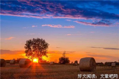 关于泽帆经典句子