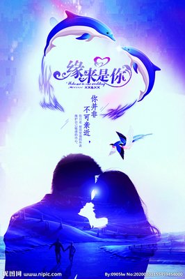 《缘来没错过》经典的句子大全
