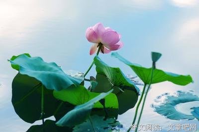 提升修养好词好句