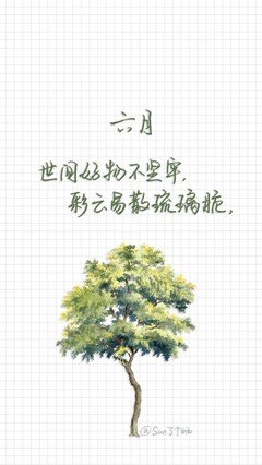 有关薄荷糖的句子