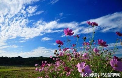她城，他人……句子大全