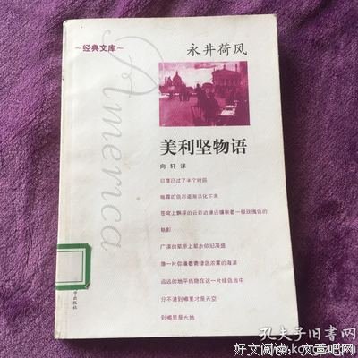 最经典的《美利坚物语》好段摘抄