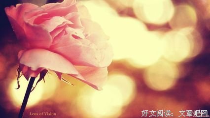 随笔优美的句子
