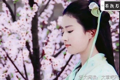 莫失莫忘经典名句