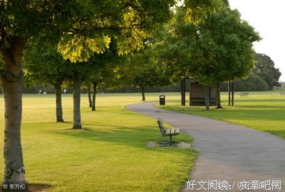 关于作文素材的优美句子