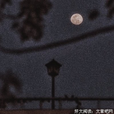 长生不死句子