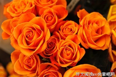 《自由与命运》经典句子