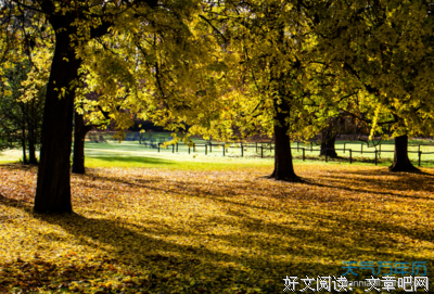 关于LOL的优美句子