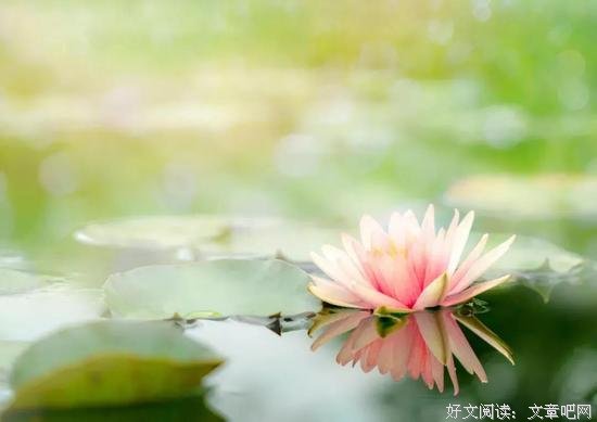 浅谈6s为我们带来的便捷