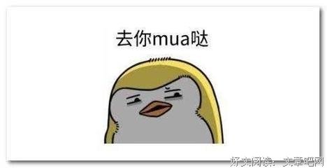乱收经典的句子