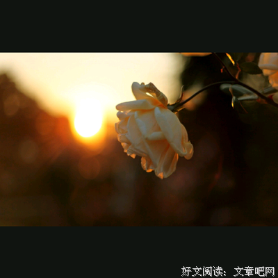 情话