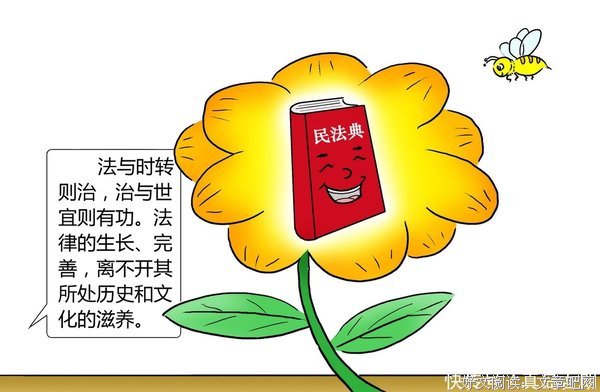 《不一样的民法典漫画儿：典哥说典话家常》经典读后感有感