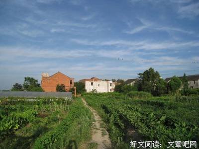 塔鱼浜自然史经典读后感有感