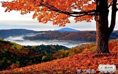 关于匆匆那年的优美句子