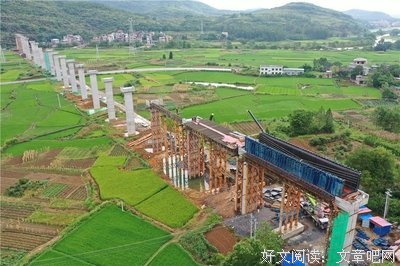 新闻杂谈（6）祖国时刻关心着我们的同胞