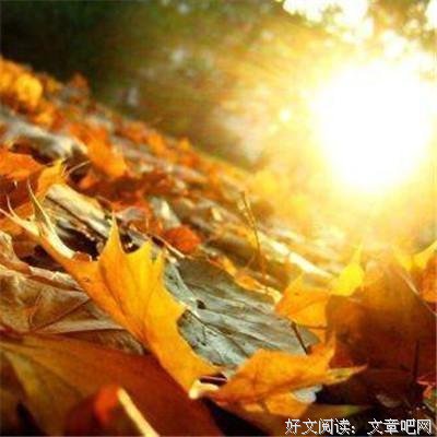《花间一壶酒》佳句摘抄