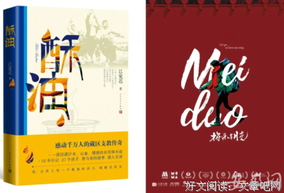 《梅朵与月光》经典影评集