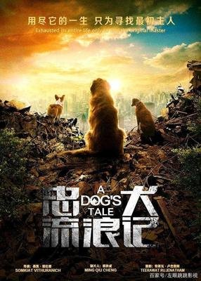 《忠犬流浪记》的观后感大全