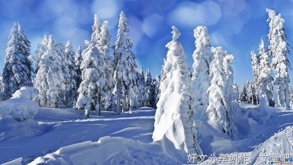 《冬天的雪》的句子
