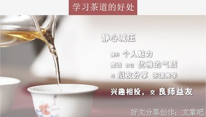 最新的《茶味的初相》名句欣赏大全