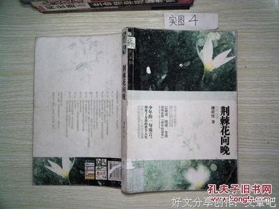 最全的《荆棘花向晚》语录摘抄大全