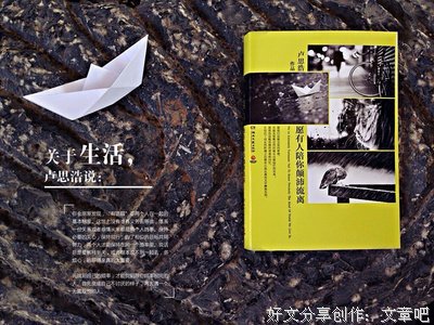 《愿有人陪你颠沛流离》的句子
