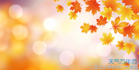 谁殇了谁的伤＊的优美句子