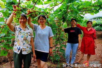 最新的《葡萄成熟时》经典句子大全