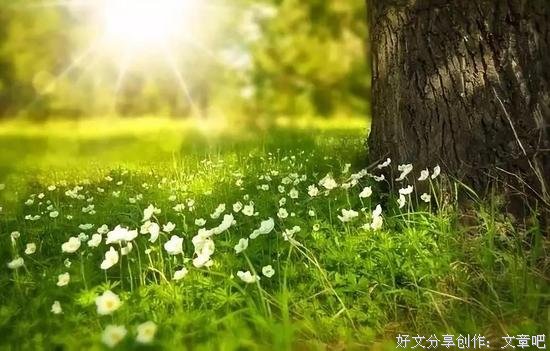 信控学院“乡村振兴”实践团队在徐州开展暑期社会实践活动