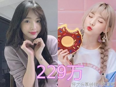 229的句子