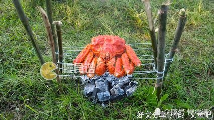 我的哥哥吹黑管读后感摘抄