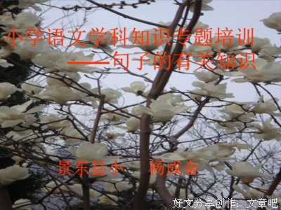 在理性中闪耀光辉经典的句子