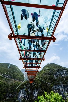 《地表惊旅》经典影评有感
