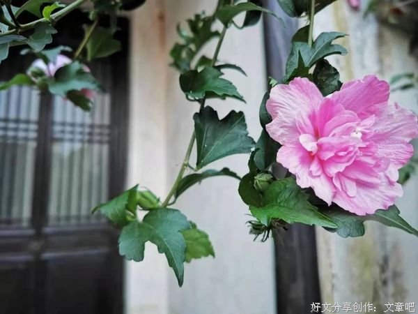 守住内心宁静，笑看云淡风轻