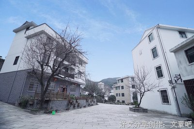 《望道》观后感100字