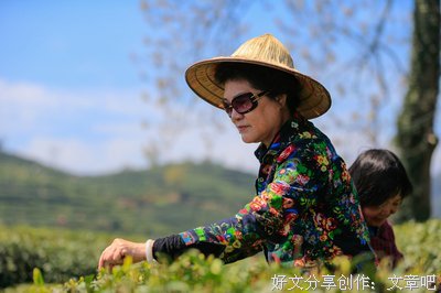 关于城头飘来的歌的优美句子
