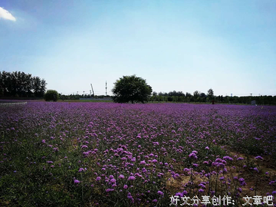 陌上花开缓缓归句子