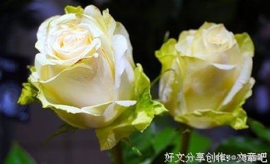 主角经典的句子