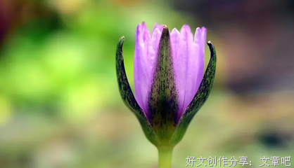 最全的幸福人生名言大全