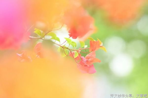 一回眸，便是一处风景；一转身，就是一段光阴