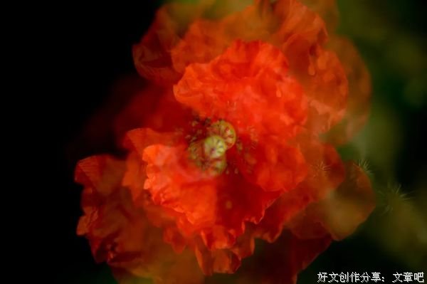  放下执念，从此云淡风轻