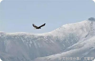 《梅里雪山》读后感摘抄