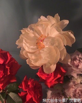 《喜欢》的句子