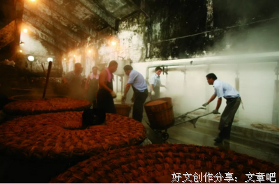 关于五加皮蛋名言
