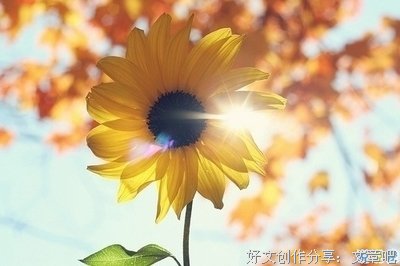 生活哲理句子大全