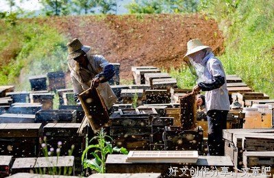 最全的《第这小界看在此时此刻》经典句子大全