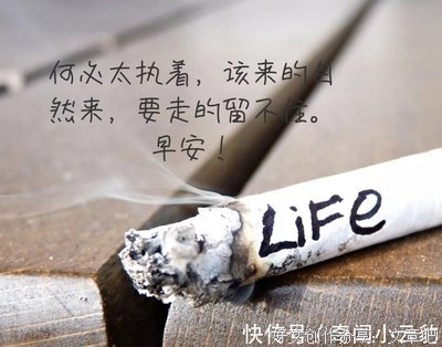 远方经典的句子