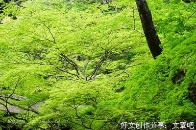 夏风‘微凉的句子