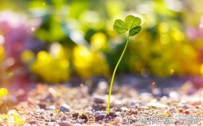 关于知足常乐的唯美语录
