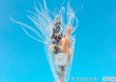 得不到的永远在骚动好词好句